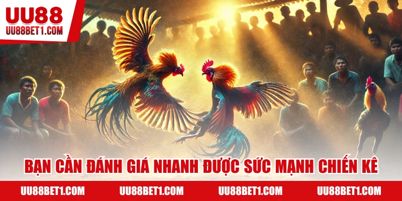 Bạn cần nhìn nhận nhanh thực lực chiến kê