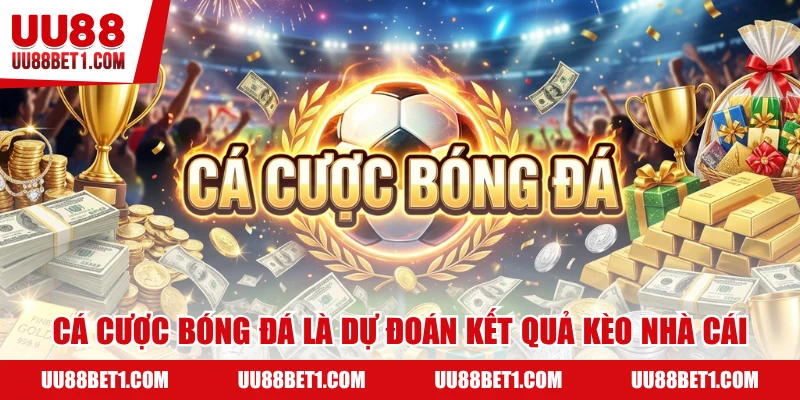 Cá cược bóng đá là đoán định kèo nhà cái