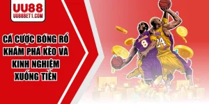 Cá Cược Bóng Rổ | Khám Phá Kèo Và Kinh Nghiệm Xuống Tiền