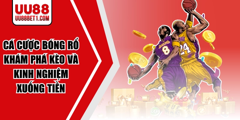 Cá Cược Bóng Rổ | Khám Phá Kèo Và Kinh Nghiệm Xuống Tiền