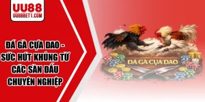 Đá Gà Cựa Dao - Sức Hút Khủng Từ Các Sàn Đấu Chuyên Nghiệp