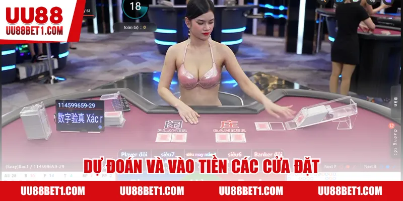 Dự đoán và vào tiền các cửa đặt