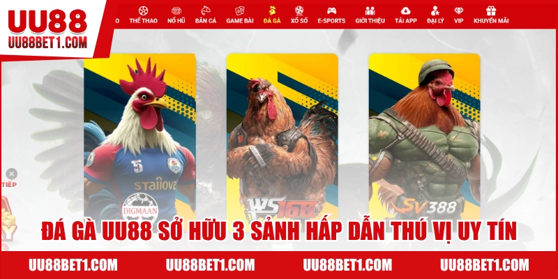 Hệ thống sảnh đa dạng tại đá gà UU88