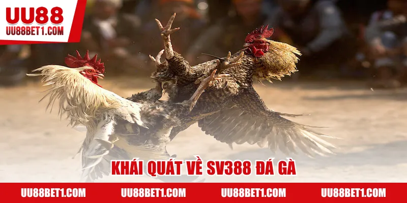 Khái quát về SV388 đá gà
