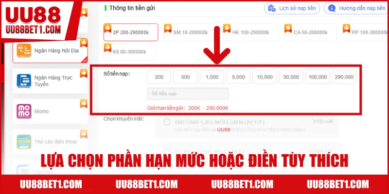 Lựa chọn phần hạn mức hoặc điền tùy thích