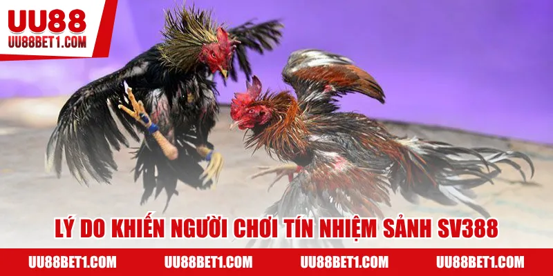 Lý do khiến người chơi tín nhiệm sảnh SV388