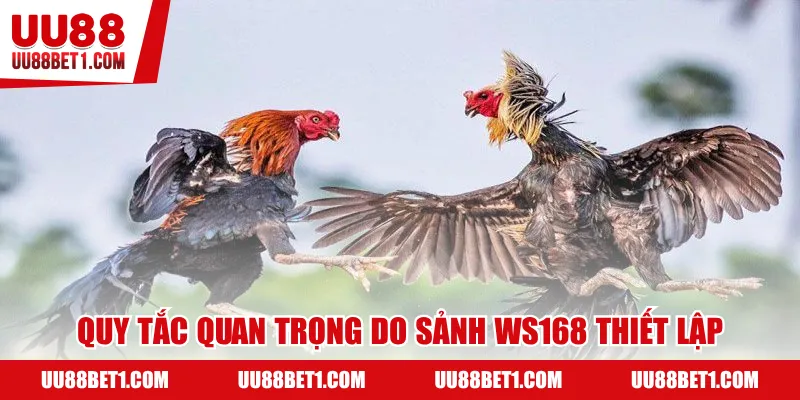 Quy tắc quan trọng do sảnh WS168 thiết lập