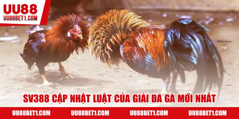 SV388 cập nhật luật của giải đá gà mới nhất