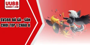 Sv388 Đá Gà - Sân Chơi Top 1 Dành Cho Kê Thủ Châu Á