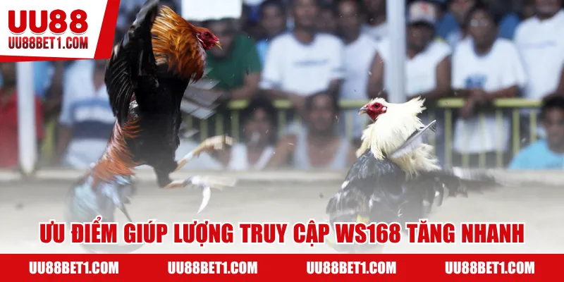 Ưu điểm giúp lượng truy cập WS168 tăng nhanh