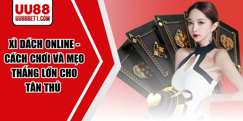 Xì Dách Online - Cách Chơi Và Mẹo Thắng Lớn Cho Tân Thủ